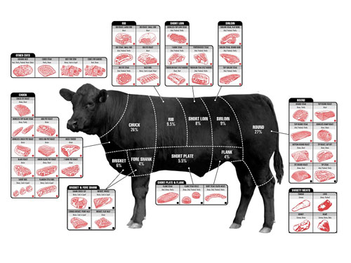 beef-animal-and-cuts