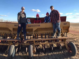 Alfalfa-seeding